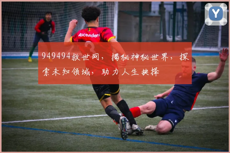 949494救世网，揭秘神秘世界，探索未知领域，助力人生抉择
