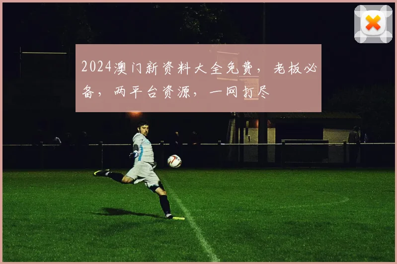 2024澳门新资料大全免费，老板必备，两平台资源，一网打尽